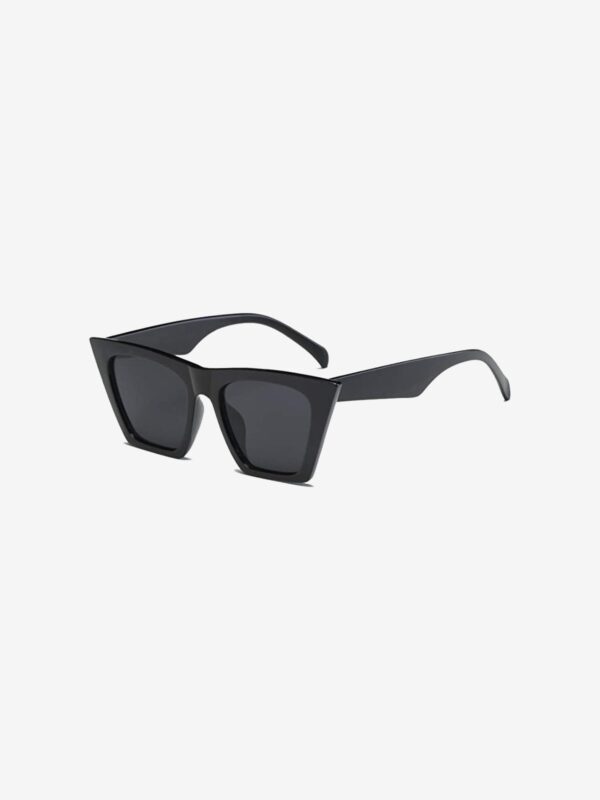 Wayfarer Sunglasses